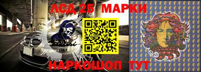 индика Железногорск