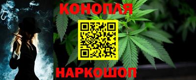 индика Железногорск