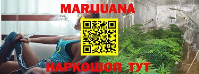 индика Железногорск